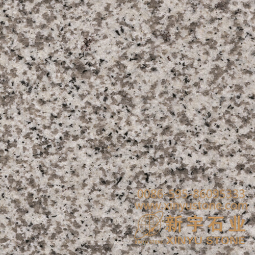 Guangdong G655